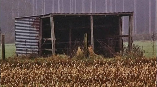 EXPOSITION VACHES DE BARAQUES A ST HUBERT