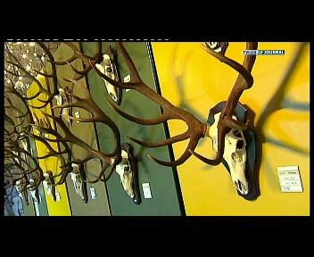 ST HUBERT : 20 ANS DE CAPITALE EUROPEENNE DE LA CHASSE