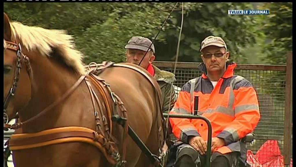 LA ROCHE UN CHEVAL DE TRAIT POUR RAMASSER LES POUBELLES
