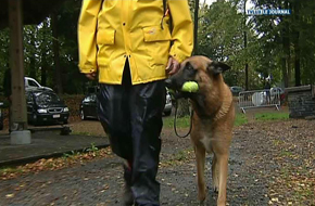 CLUB CANIN DANS LE PARC DE KAOLIN PRES DE LIBIN