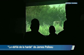 FESTIVAL DU FILM NATURE A NEUFCHATEAU