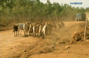 UN DOCU SUR LE LAOS SIGNE CLAUDE BOUGARD