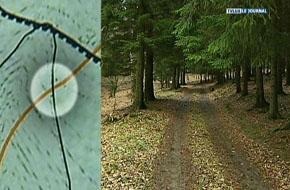 POLEMIQUE CONCERNANT DES SENTIERS COMMUNAUX A HARRE