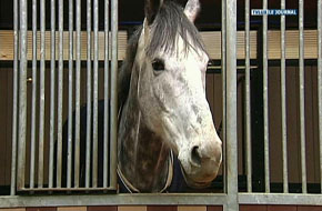 BOUILLON EST LA COMMUNE EN QUESTION DE CE VENDREDI