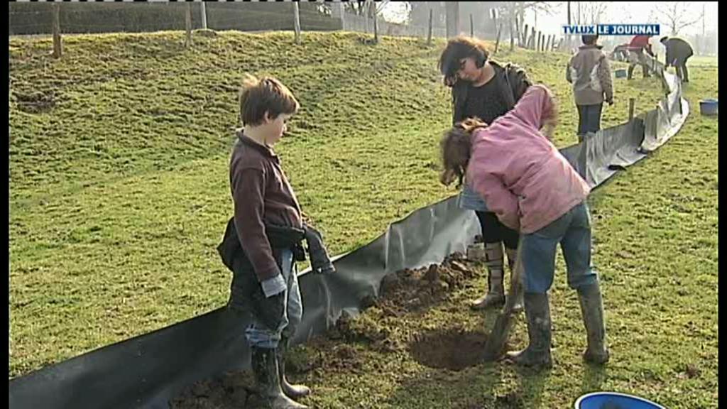 HUMAIN : SAUVETAGE DES GRENOUILLES AVEC UNE ECOLE