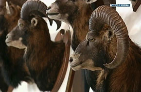 BERTRIX EXPOSITION DU CONSEIL CUNEGETIQUE SEMOIS