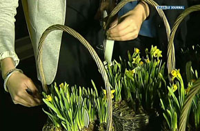 LIBIN EXPANSION POUR GREENCAP 