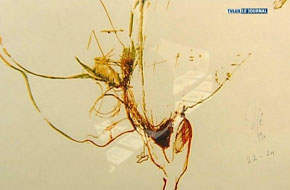 ARLON MARCHE DE LA GRAVURE