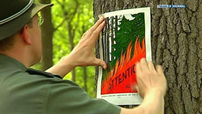 FEUX DE FORETS : APPEL A LA PRUDENCE