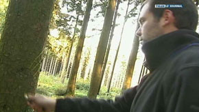 ST-HUBERT : FILIERE FORET-BOIS (REGIOWOOD)