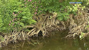 CHINY : PROBLEMES D EAU