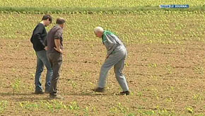 PROVINCE : LA SECHERESSE TOUCHE LE SECTEUR AGRICOLE