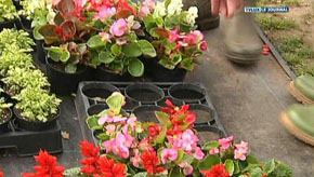 Libramont : Renforts, des handicapés au travail 