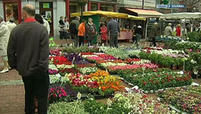 Un an sans gouvernement. Qu'en pensez-vous ?