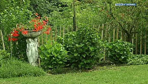 Chiny : Week-end jardins ouverts 