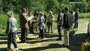 Chiny : Des plantes sauvages à déguster