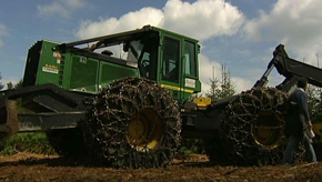 Paliseul : Journées en forêt de la Foire