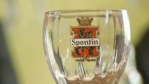 Spontin : un repreneur pour les Sources?