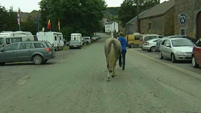 Marche : Equitation avec le Trec du Bony
