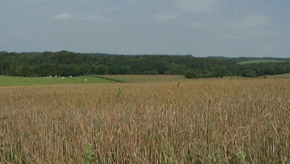 Province : La météo bénéfique pour les agriculteurs
