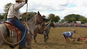Houffalize : Fête du cheval de Tavigny