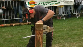 Sugny : Fête du bois et concours de bûcheronnage