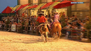 Libramont : Lux Arabian show