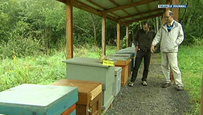 St-Léger : Faites du miel