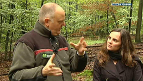 Forêts : Échange d'expertises 