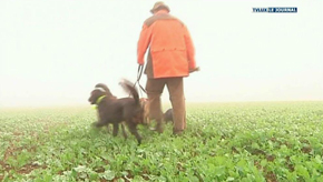 Wallonie. La chasse encadrée selon Patrick Dupriez.