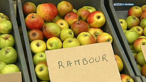 Tout Rachecourt dans les pommes
