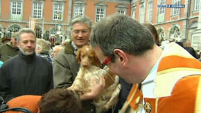 St-Hubert :  des lapins, des ânes, des chiens... protégés par la bénédiction