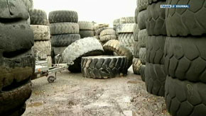 Hamois : moustiques asiatiques  