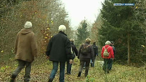 Bertrix : Sur le tracé de l'ancienne ligne 163A