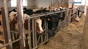 Brochure sur l'agriculture pour les fermes pédagogiques