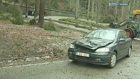 La Roche: Chute d'arbres à Beausaint