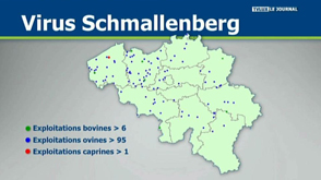 Cas de Schmallenberg en province de Luxembourg