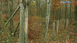 La forêt de Wellin recouvre sa certification PEFC