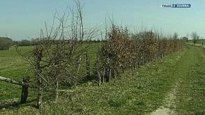 Michamps : valorisation des haies en biomasse énergie