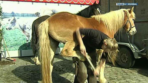 Opération « Arlon s'éveille au chant du coq »