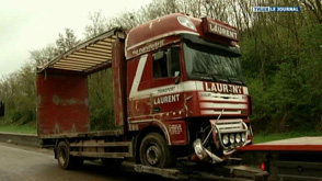 Dinant: accident d'un camion de poulets