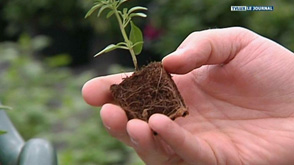 Arlon : Découverte du service environnement