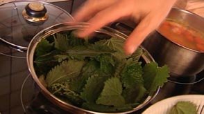 Arlon : Un livre sur l'ortie. Délicieuse et fortifiante