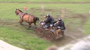 Libramont : Concours d'attelage à Recogne, épreuves de maniabilité