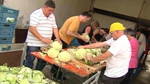 Fête du Cabu à Mussy
