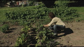 Houyet : potager collectif