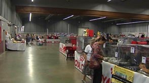 Arlon : Salon du chat