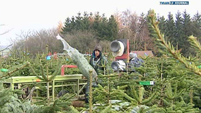 Neufchâteau: Di Antonio chez les pépinéristes