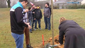 Arlon : les élèves de l'ITELA plantent des arbres pour célébrer la vie