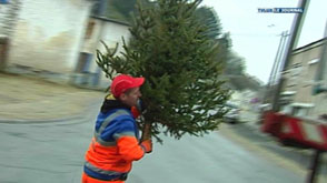 Meix-devant-Virton: collecte des sapins de Noël
